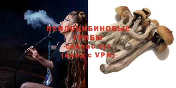 apvp Армянск