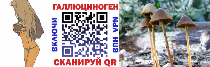 Галлюциногенные грибы мицелий Сосногорск